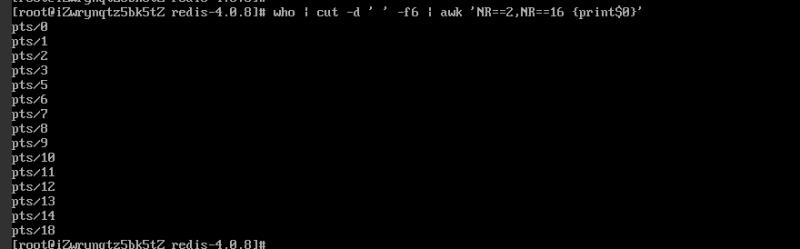 linux awk应用案例